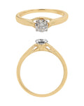 Solitaire Ring in 18KT Yellow Gold, design RG9689